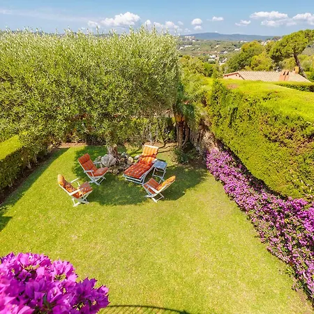Flateli Llafranc * Palafrugell